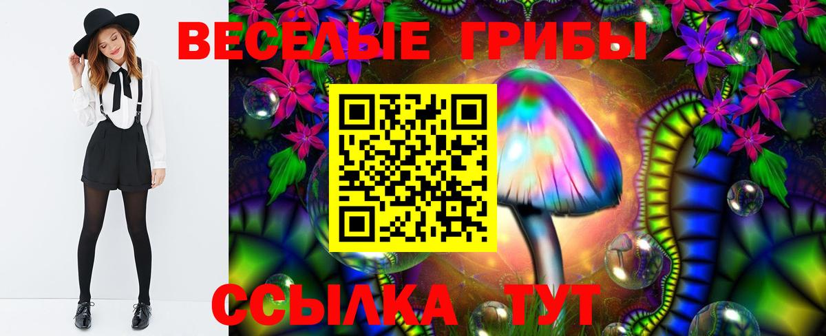 Советск  Псилоцибиновые грибы Cubensis  Вход с VPN 
